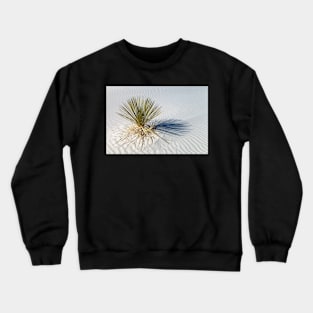 Soaptree Yucca Crewneck Sweatshirt